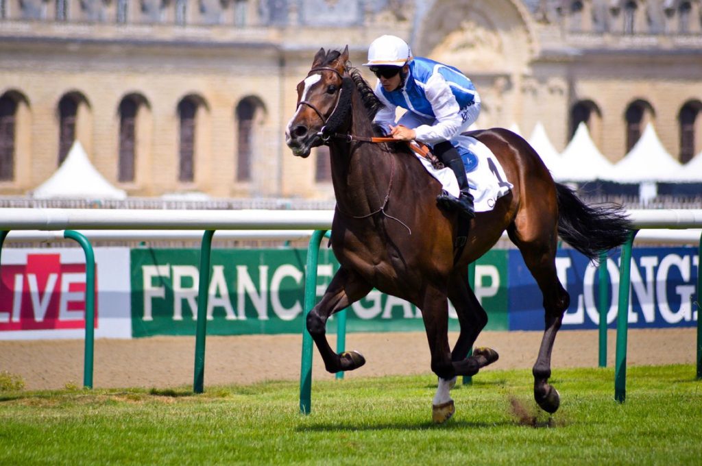 Comparatif PMU et ZEturf/ZEBET pour les paris hippiques