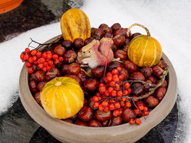 Quels aliments privilégier pour rester en forme cet hiver ?